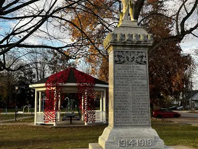 Poppy Project Installation